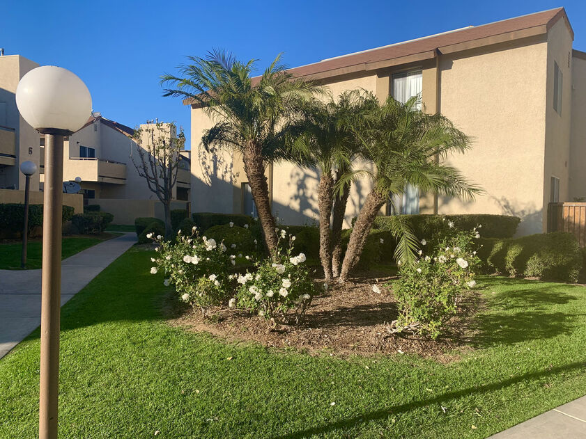 Peppertree Image 8