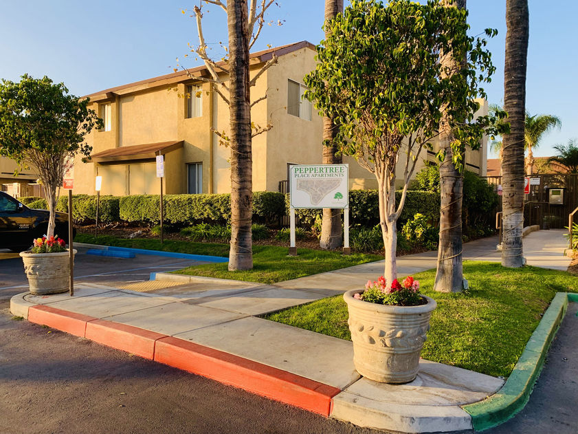 Peppertree Image 20