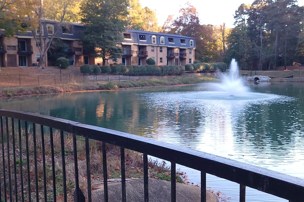 Avondale Village Image 28