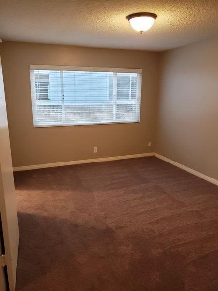 291 Avocado Street Image 12