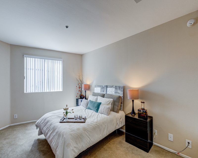 Palm Court Apartments Image 18