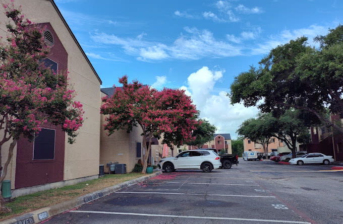 TEN02 Image 7