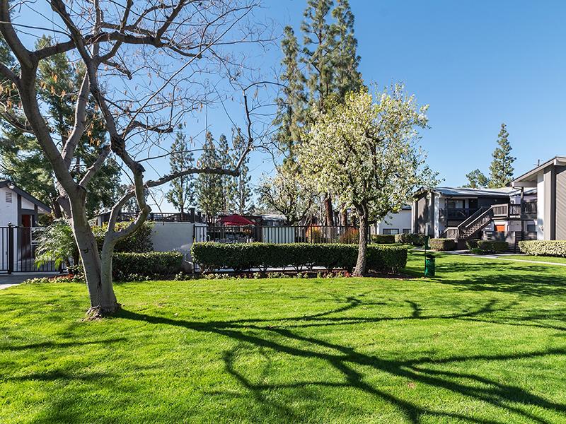 Portola Redlands Image 20