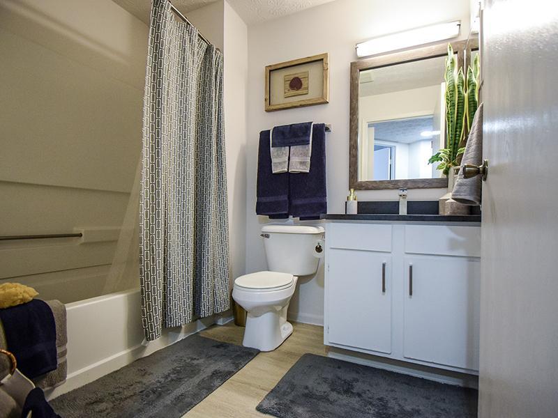 Enclave at Albany Park Image 6
