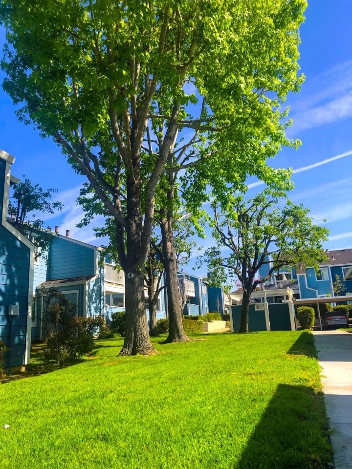 Mariner Village Image 1