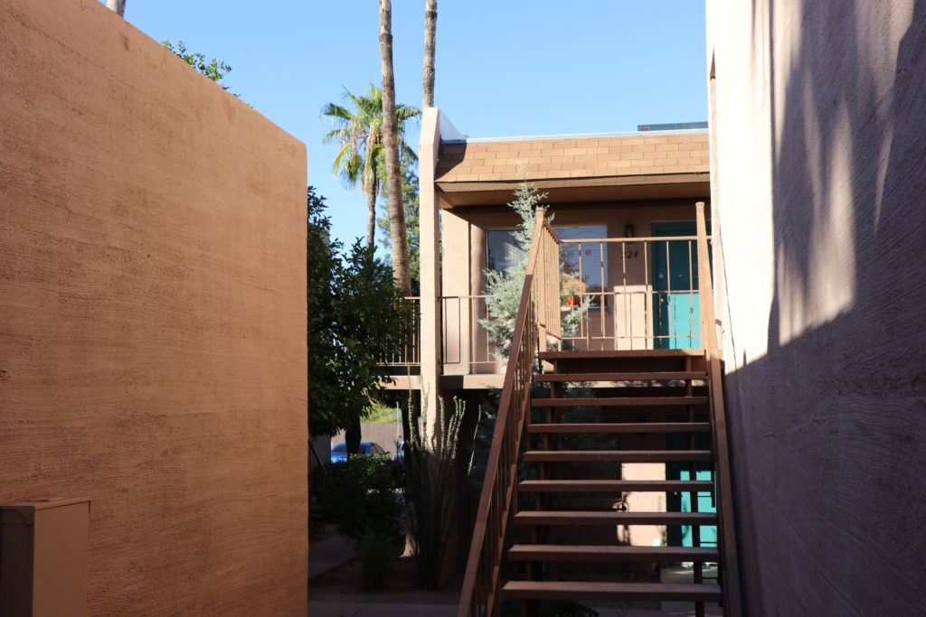 Palm Garden Image 19