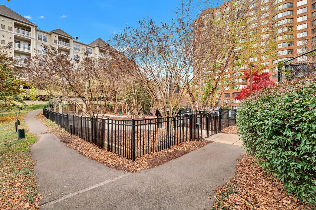 Parkstone Alexandria Image 70