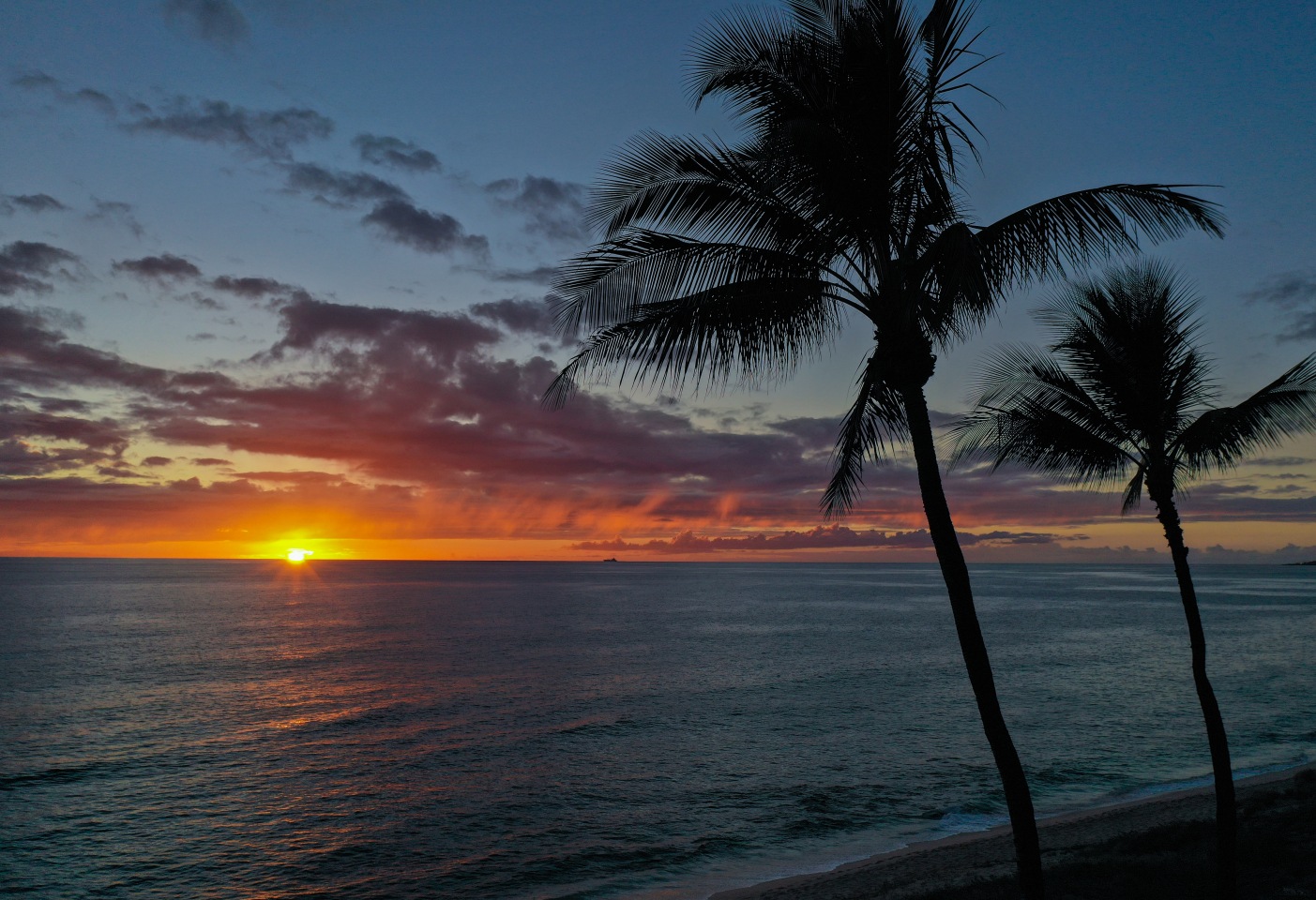 SUNSET TERRACE Image 10