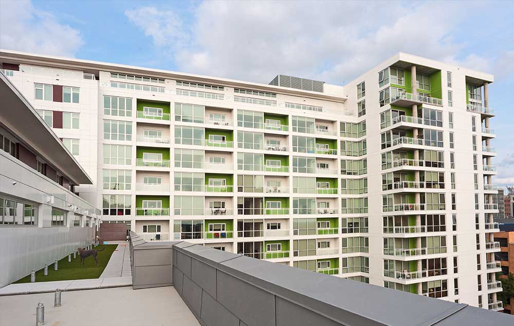Ovation 309 Image 7