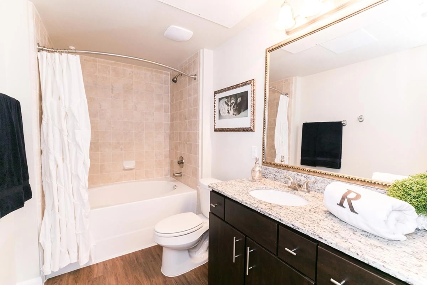 Luxe at Katy Image 3