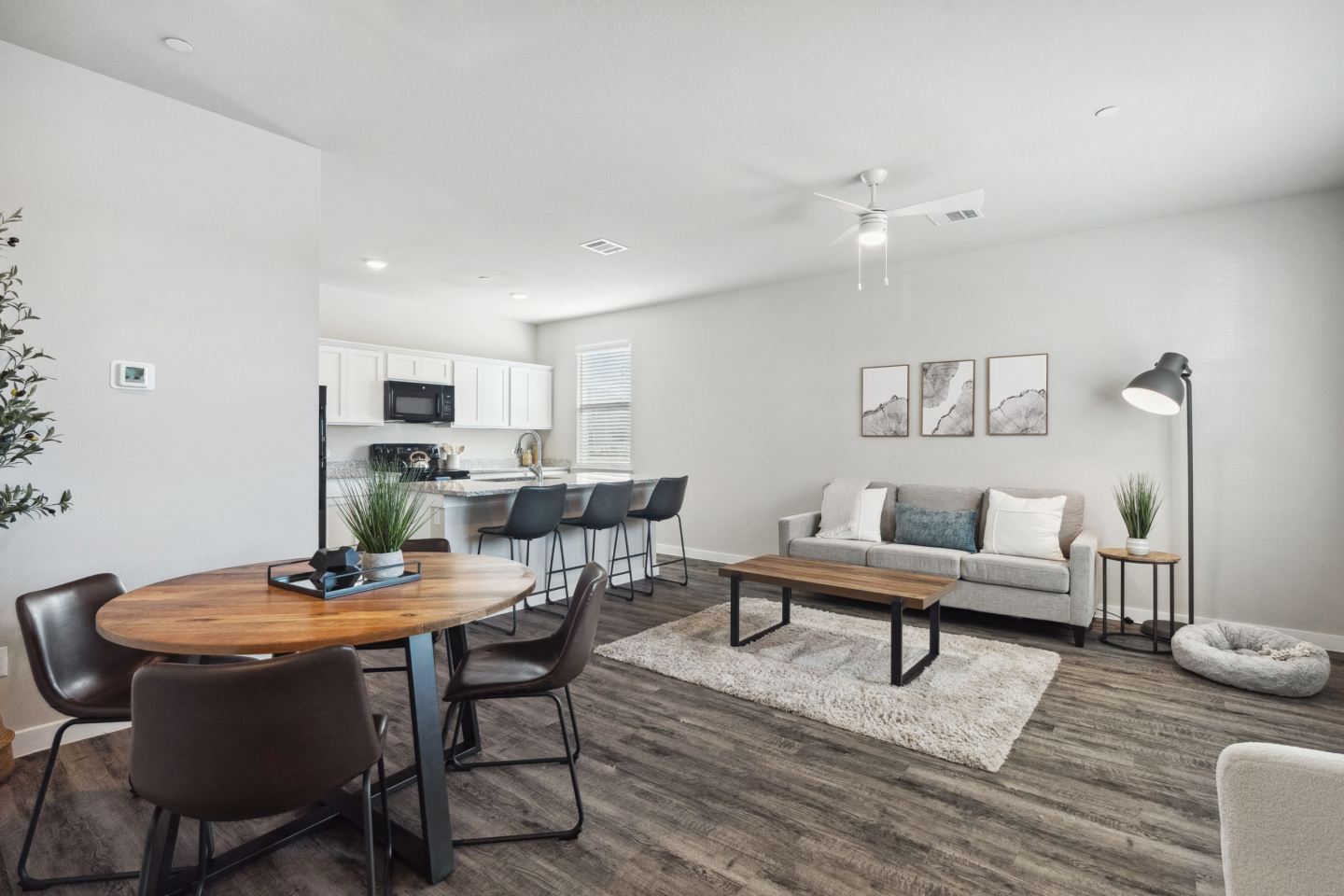 The Powell Townhomes Image 6