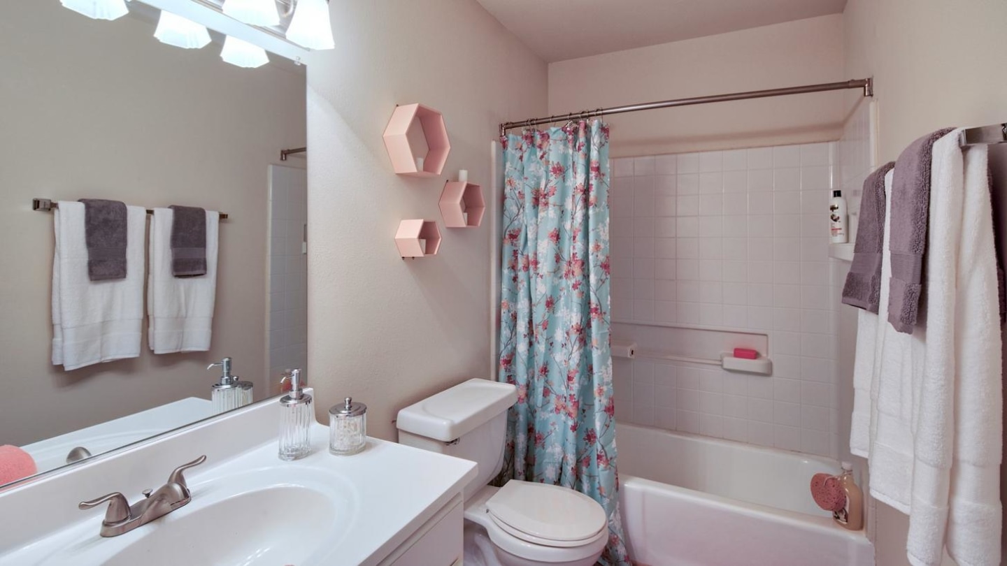 Lakeville Townhome Apartments Image 3