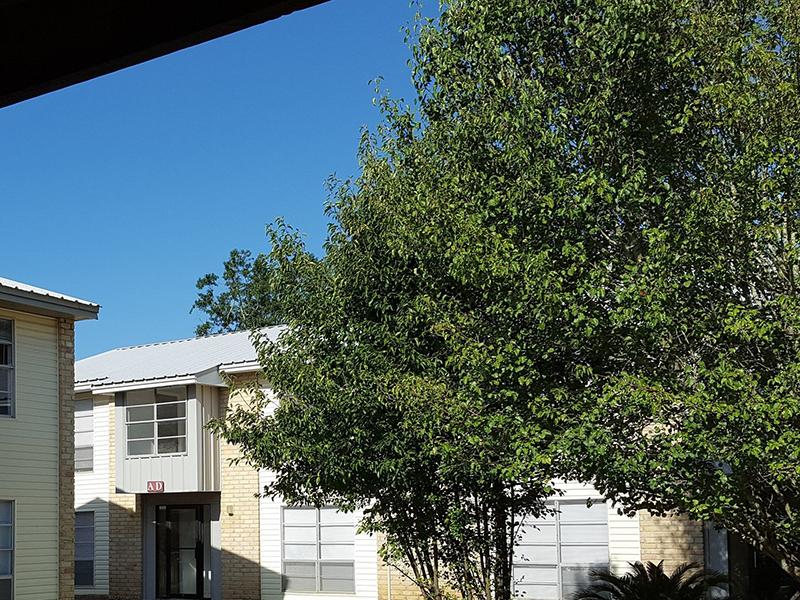 Willow Creek MS Image 6