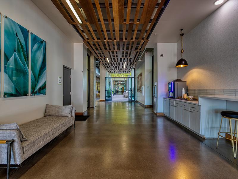 Agave 350 Image 37