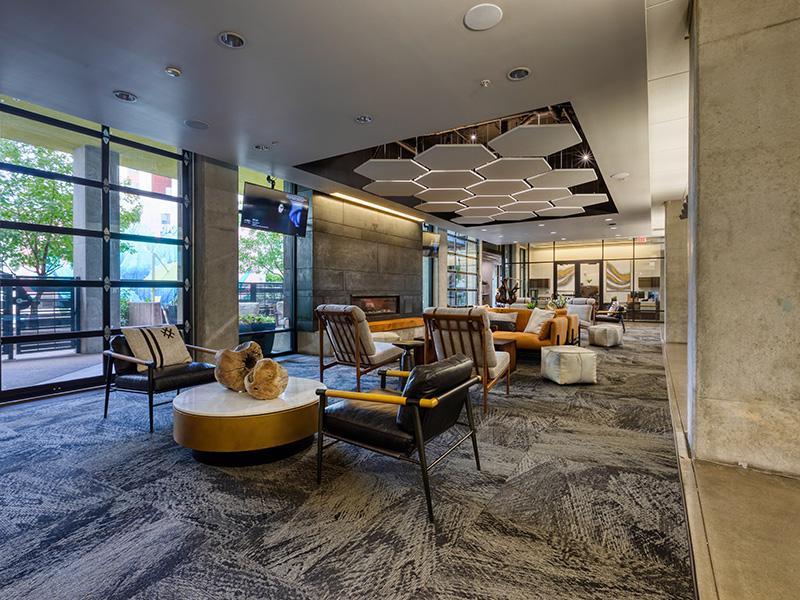 Agave 350 Image 19
