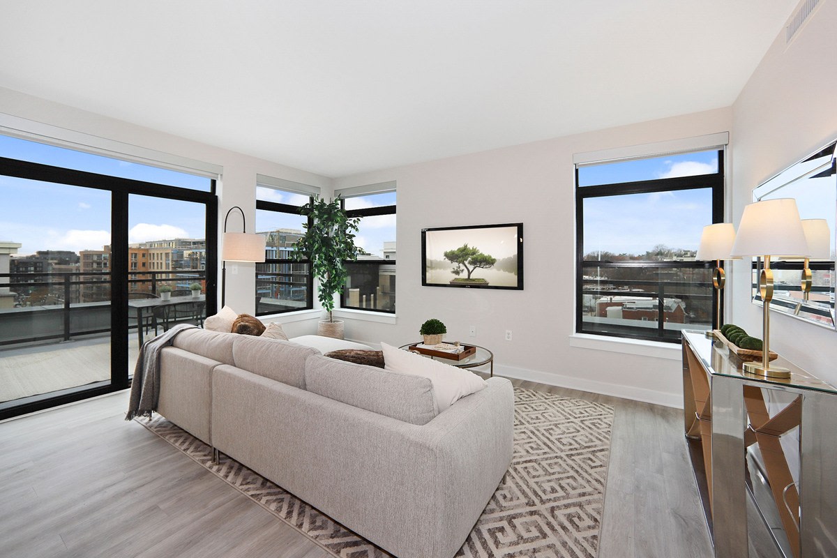 The Madrona Image 5