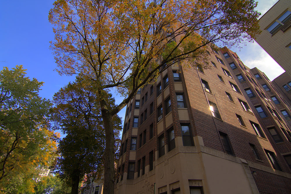 515 West Briar Image 20