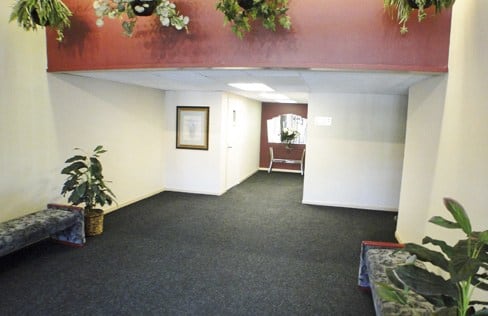 Stevenson Terrace Image 6