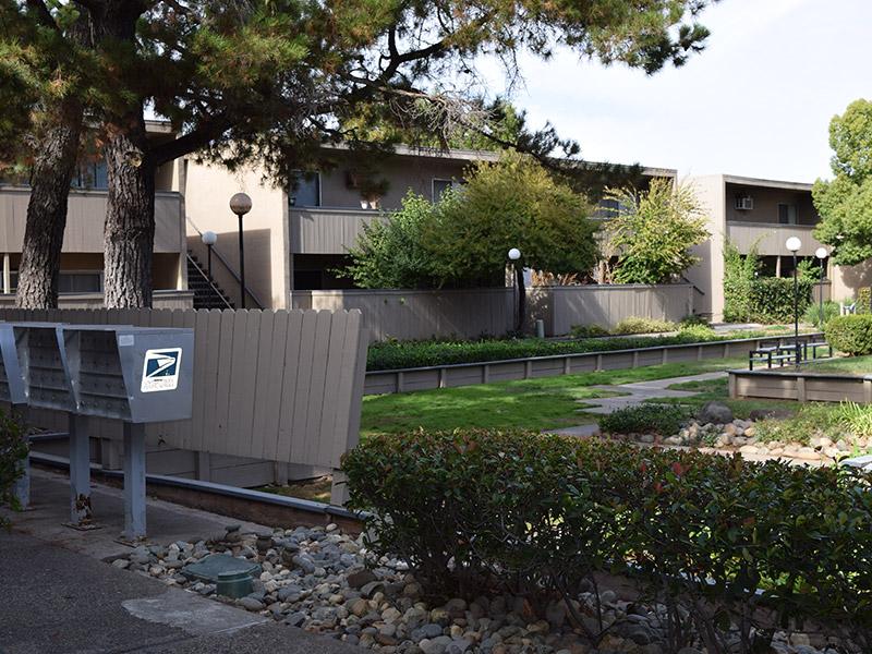 Amber Grove Image 5
