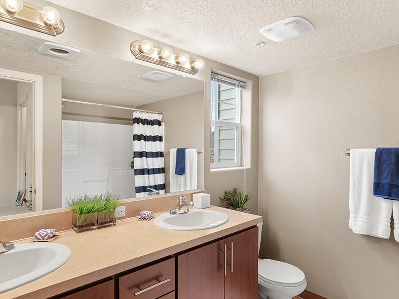 Baseline Woods Image 30