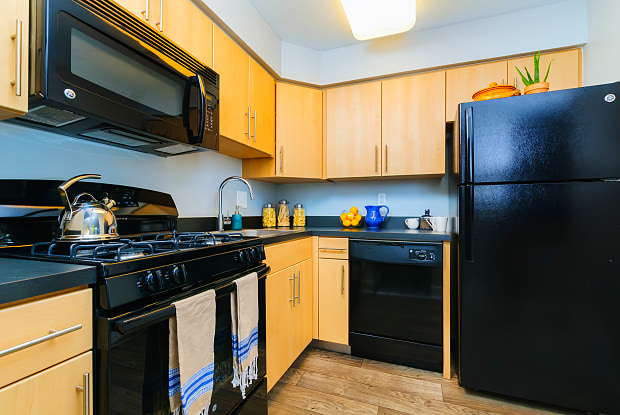 coventry apartments apartments for rent