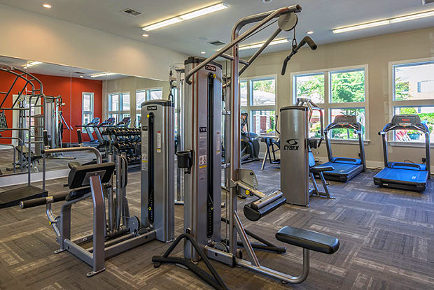Rock Creek At Ballantyne Commons Apartments For