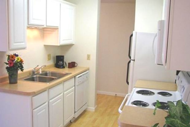 chesterwood apartments for rent