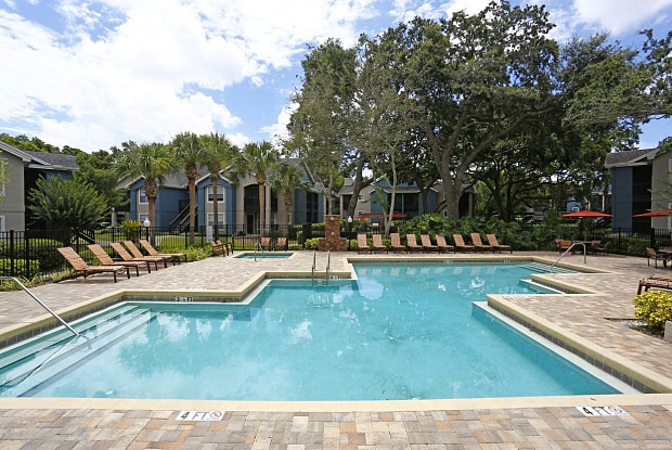 Free adult swim palm harbor
