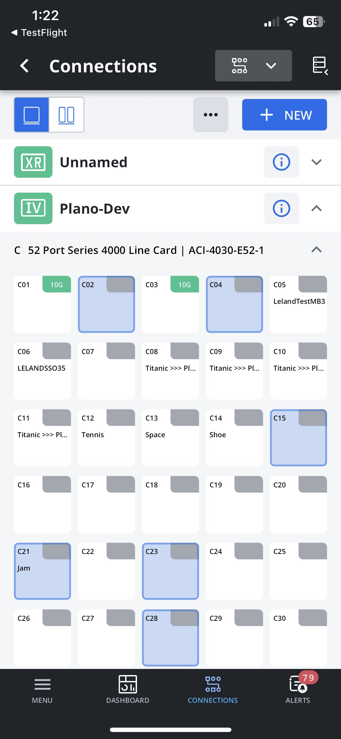 An image of the IntellaView mobile connections screen.