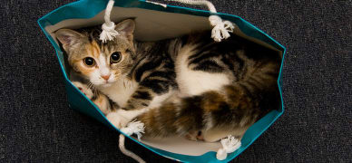 10-expressions-anglaises-droles