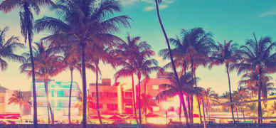 miami-destination-de-reve