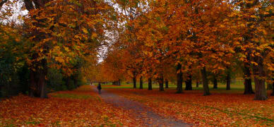 trois-meilleurs-destinations-londres