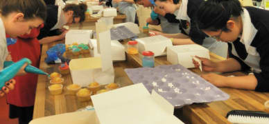 transition-year-en-irlande