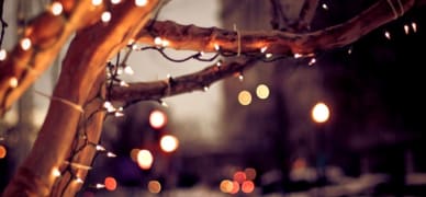 comment-creer-sa-citrouille-dhalloween