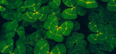 saint-patrick-2022-date-et-origine