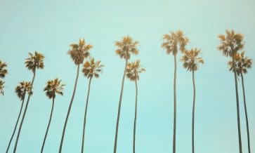 10 expressions pour être un vrai Californien