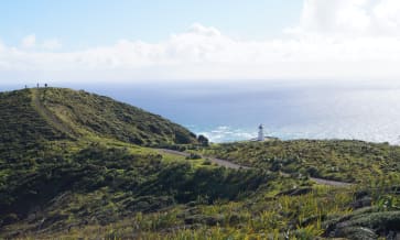 Les plus beaux paysages à voir en Nouvelle-Zélande