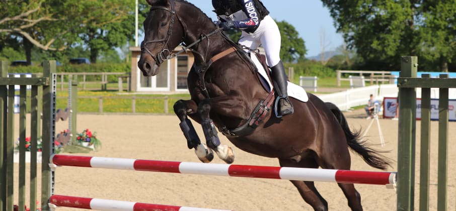 Soggiorno linguistico e sportivo: impara l’inglese con passione