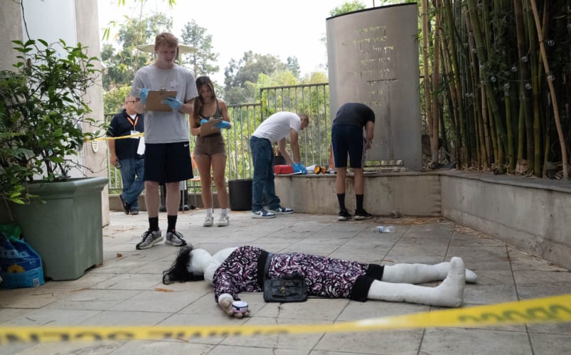 UCLA — Pre College