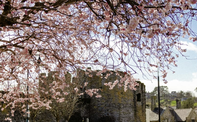 Immersion scolaire dans un pensionnat dans le nord du Pays de Galles