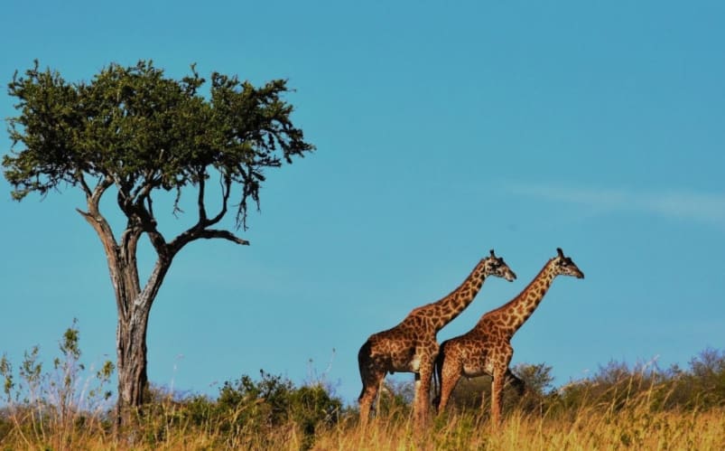 Full immersion in famiglia in Sudafrica