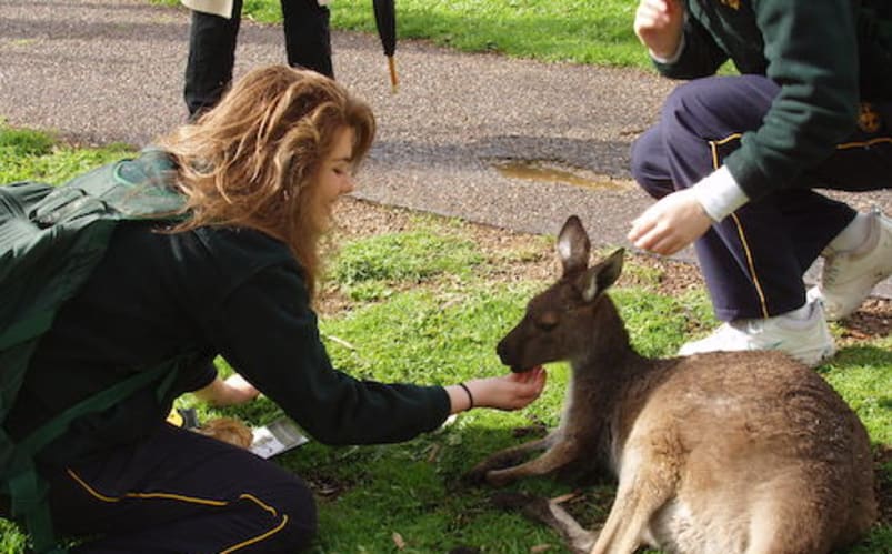 Scolarité en Australie