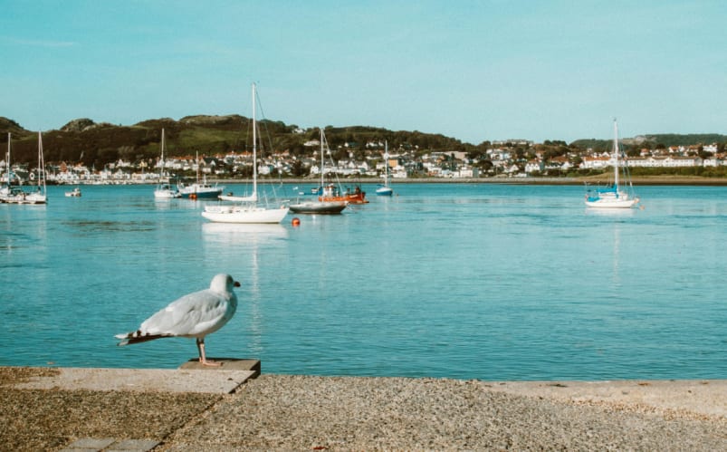 Immersion scolaire dans un pensionnat dans le nord du Pays de Galles