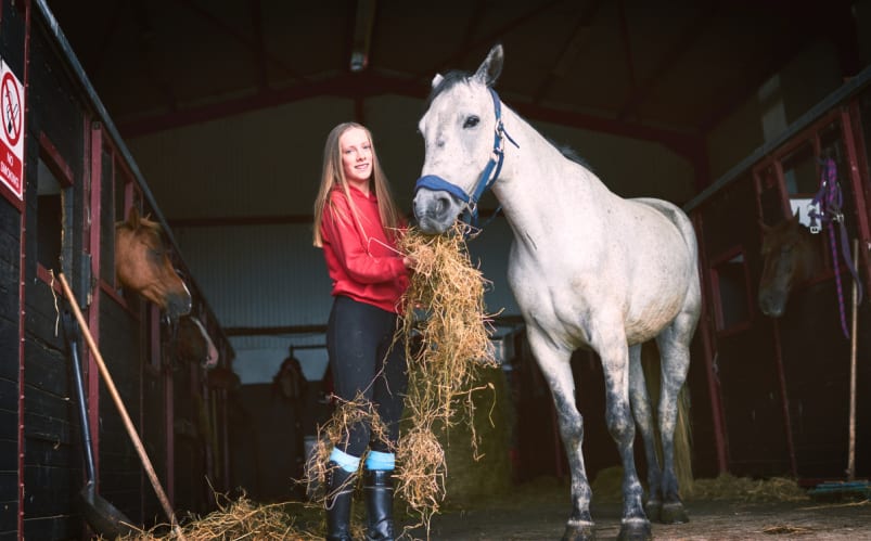 Horse Riding