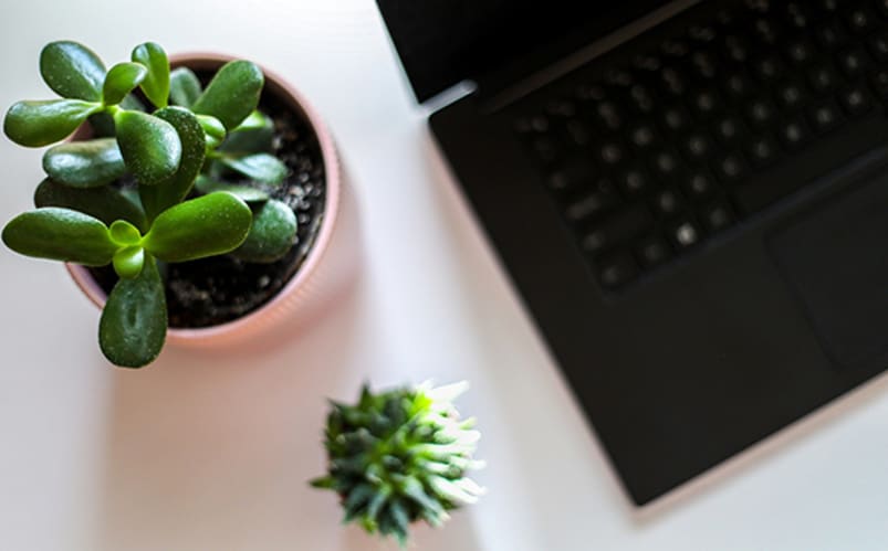 English One to one Online