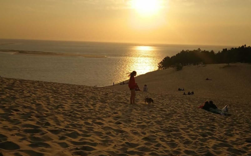 Immersion totale en France