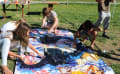 SUMMER PROGRAMME IN SVIZZERA