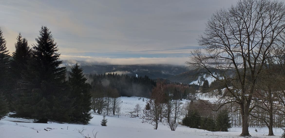 Nejdek