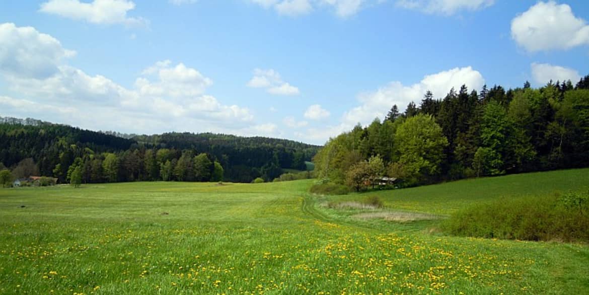 Vysocina