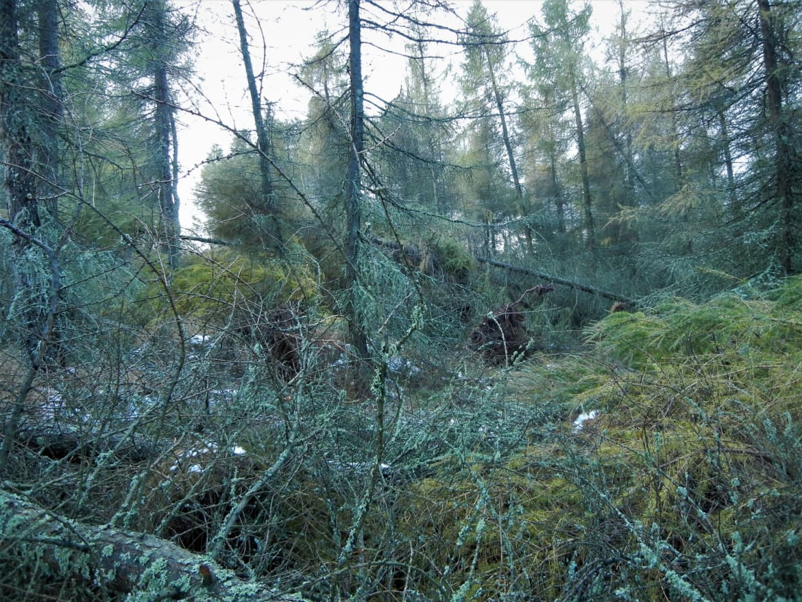 Dscn3592-1